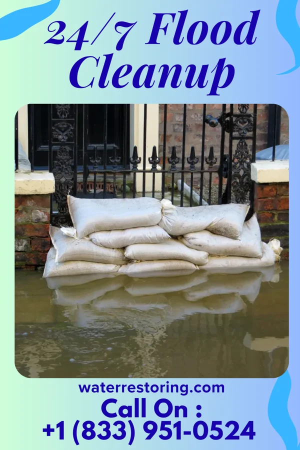 24/7 Flood Cleanup in Frankfort, IL