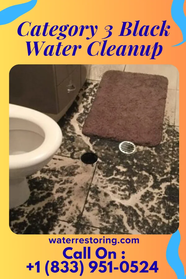 Category 3 Black Water Cleanup in Frankfort, IL
