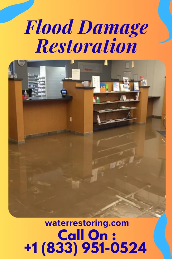 Flood Damage Restoration in Frankfort, IL