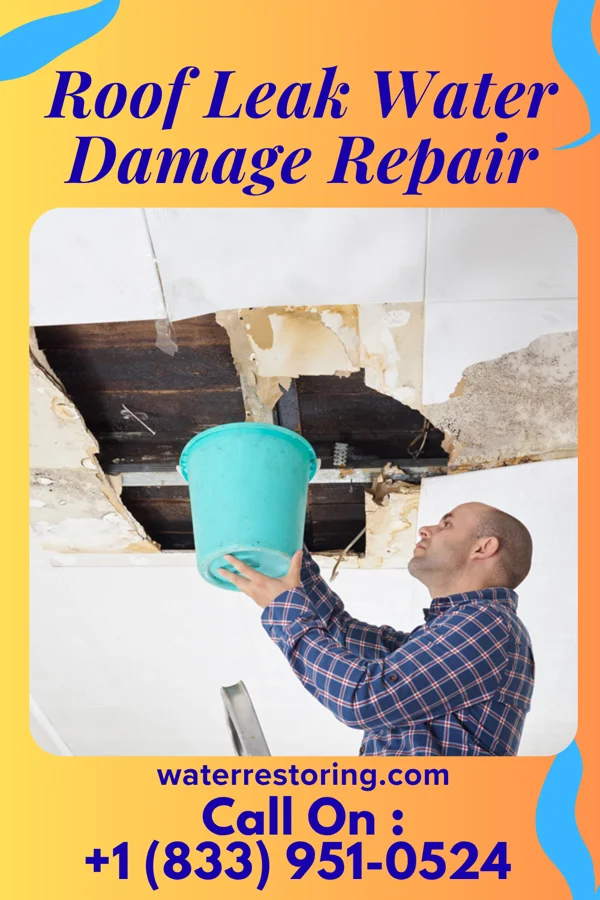 Roof Leak Water Damage Repair in Frankfort, IL